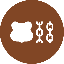 Berachain icon
