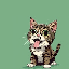 Lil Bub icon